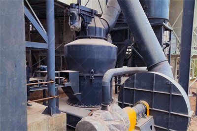 2025年中国立式高速磨粗机数据监测报告.docx 原创力文档