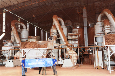 输煤转运站除尘系统设计 道客巴巴